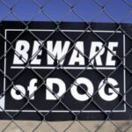 Dog Bite Injuries in Virginia: What Parents Should Know When a Child Is Attacked