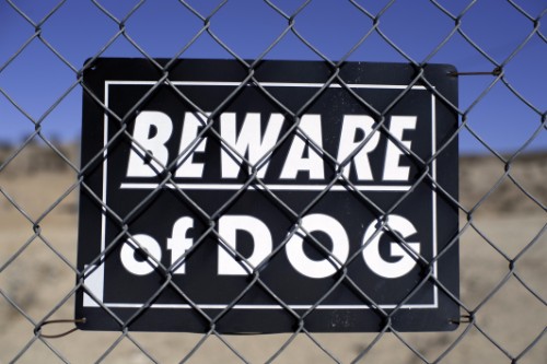 Dog Bite Injuries in Virginia: What Parents Should Know When a Child Is Attacked